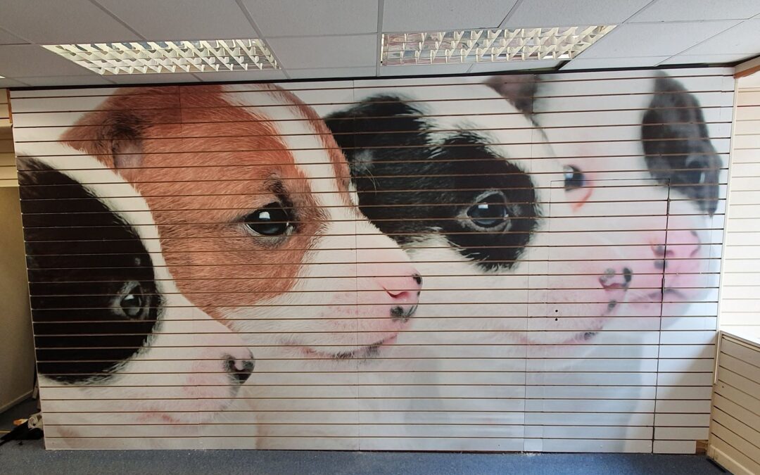 Wall Printing Machine Vs. Traditional Painting: Which Is Better?