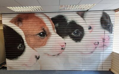 Wall Printing Machine Vs. Traditional Painting: Which Is Better?
