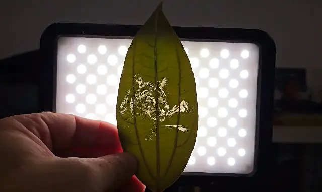 3D dynamic glass tube CO2 laser engraving machine 2