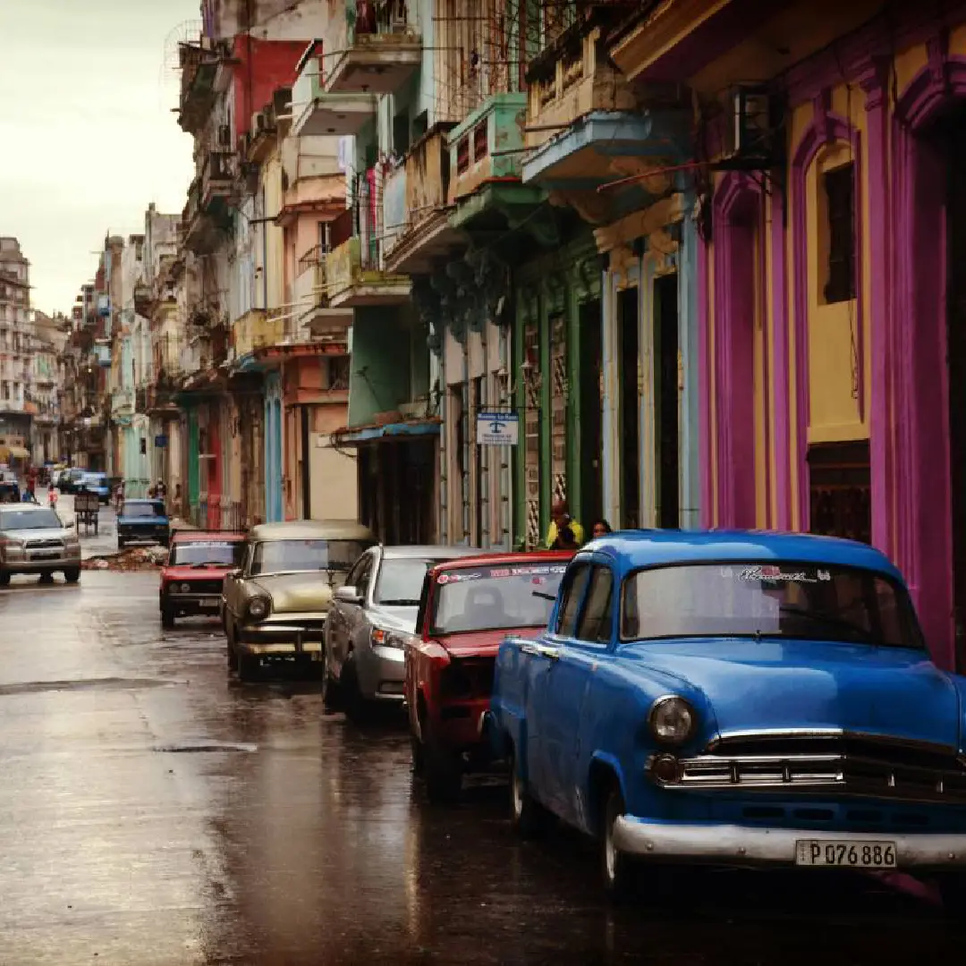 Vintage Photography (10) Divi Flower Shop Layout