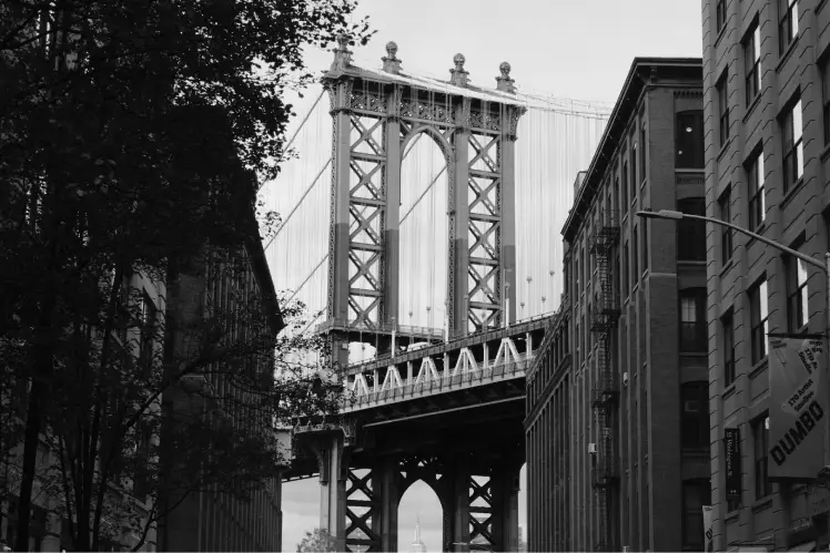 Vintage Photography (12) Divi Flower Shop Layout