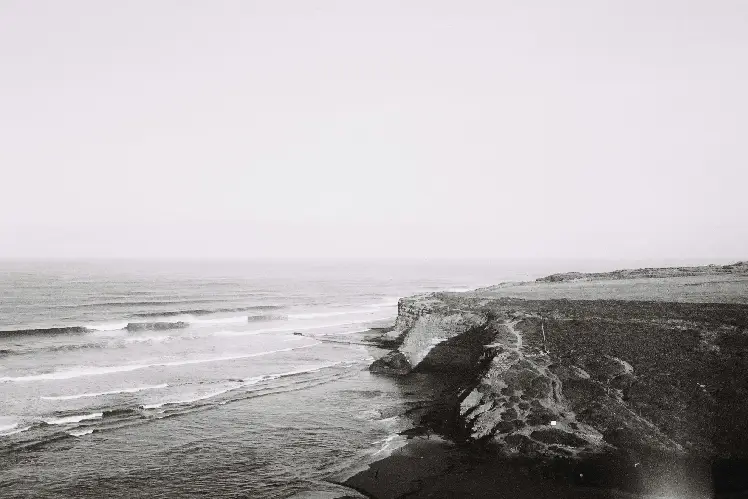 Vintage Photography (13) Divi Flower Shop Layout