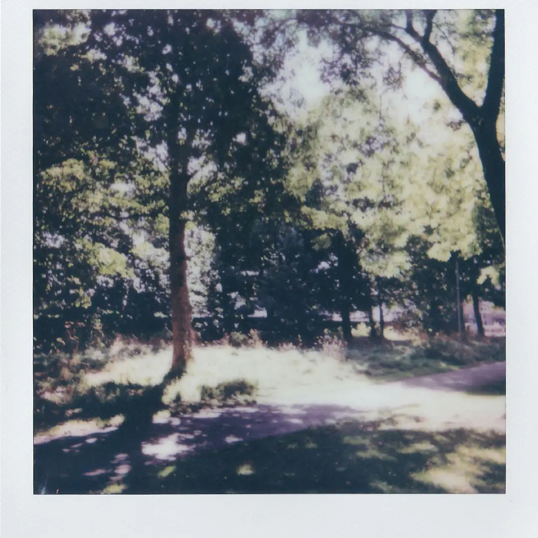 Vintage Photography (8) Divi Flower Shop Layout