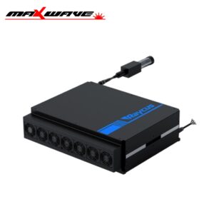 Raycus R-P300MX Laser Source